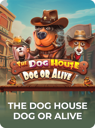 The Dog House - Dog or Alive