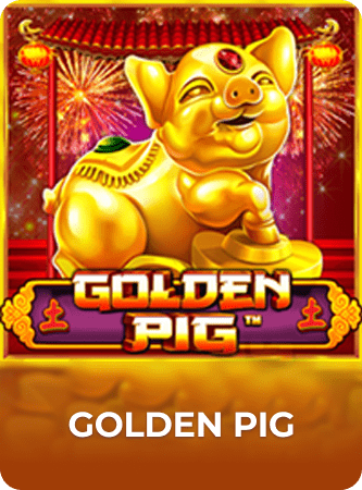 Golden Pig