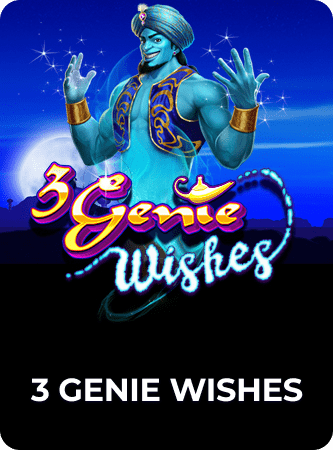 3 Genie Wishes