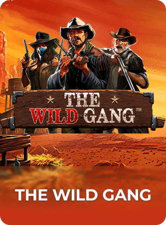 The Wild Gang
