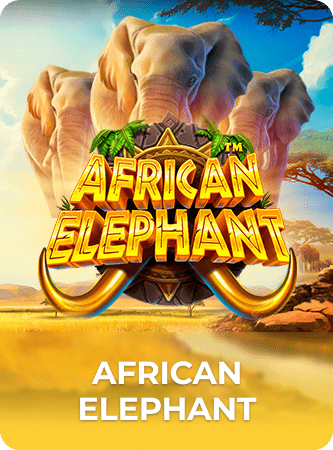 African Elephant