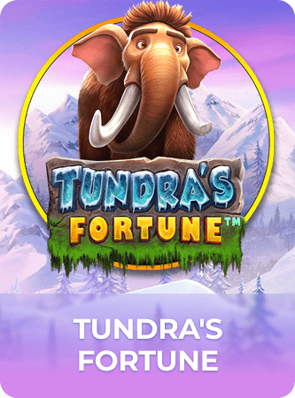 Tundra's Fortune