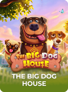 The Big Dog House
