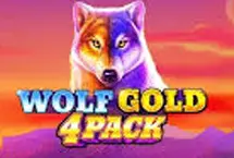 Wolf Gold 4 Pack